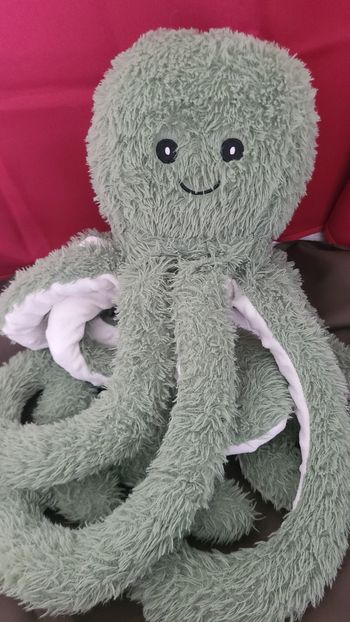 Grande Pieuvre poulpe