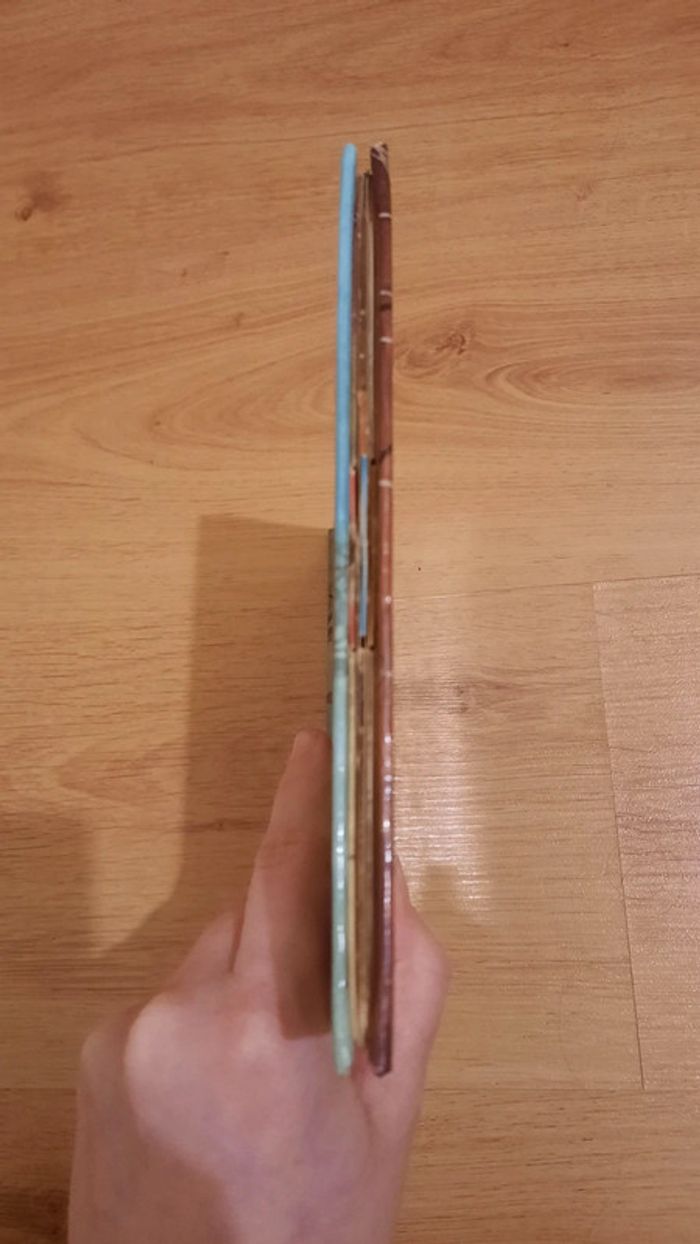 Donald et la maison hantée - photo numéro 9