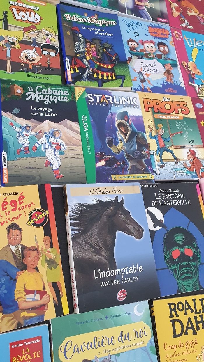 Divers livres pour les 6/12 ans - photo numéro 5