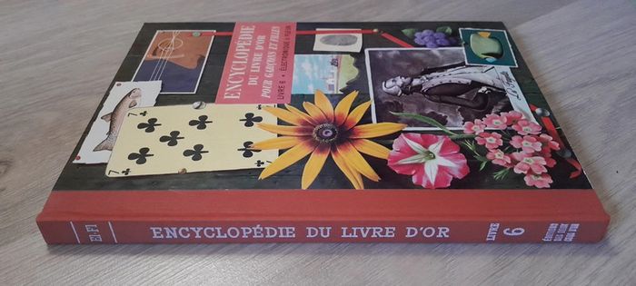 Encyclopédie du livre d'or pour garçons et filles tome 6 électronique à fleurs - photo numéro 9
