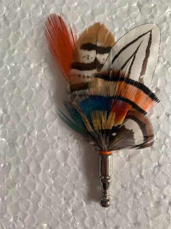 Broches en plumes.