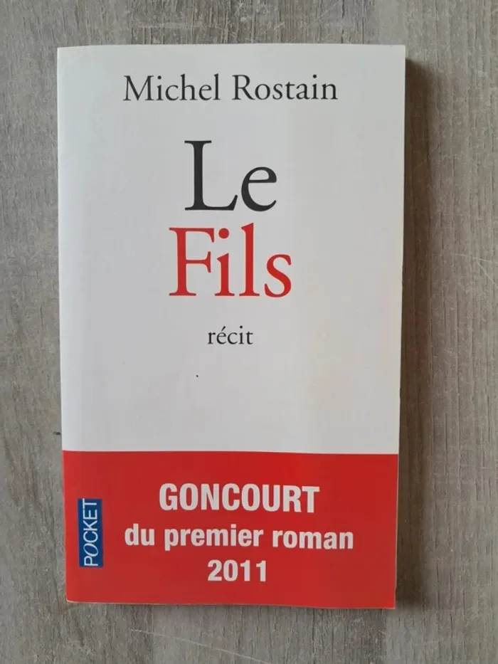 Livre Roman Le fils michel rostain