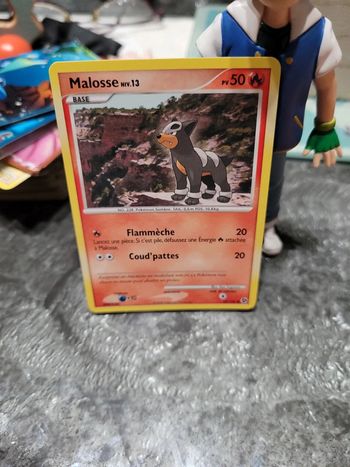 Pokémon malosse niv13