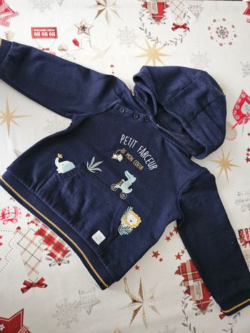 Sweat à capuche