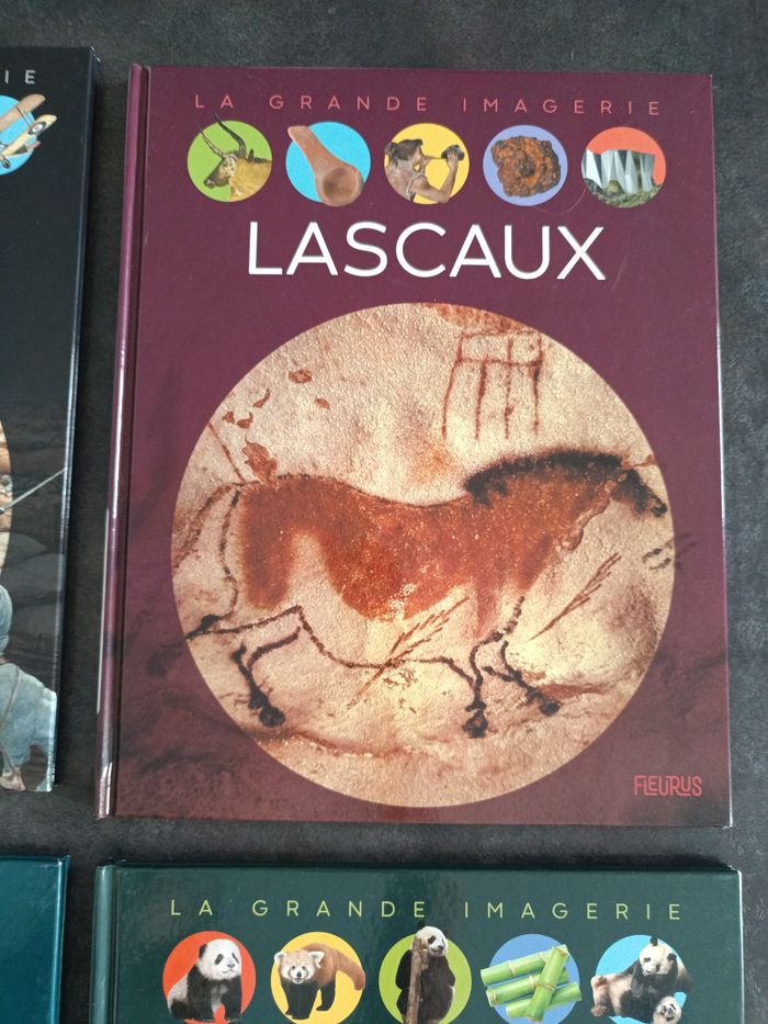 Livre la grande imagerie - photo numéro 3