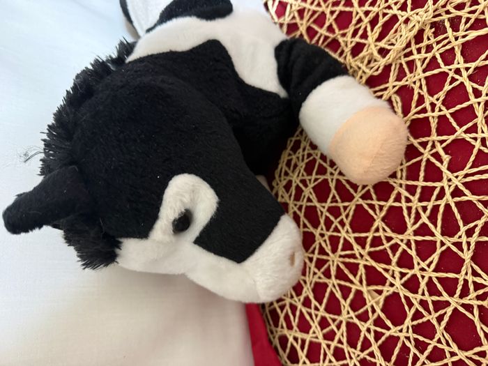 cheval noir et blanc buffalo grill - photo numéro 4