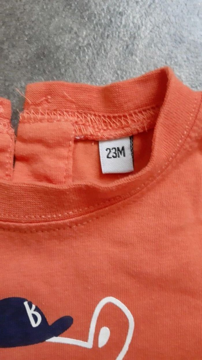 Lot de 4 t-shirts manches courtes garçon - photo numéro 12