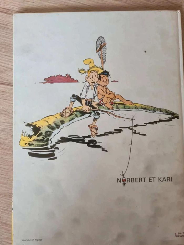 Norbert et Kari l'élection - photo numéro 2