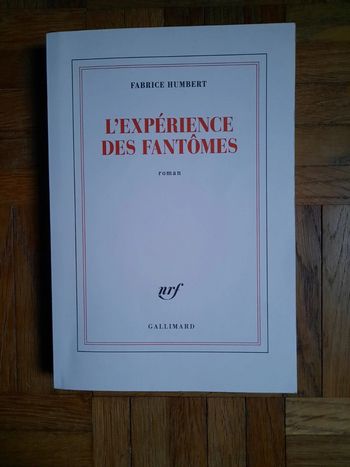 Livre: L'expérience des fantômes
