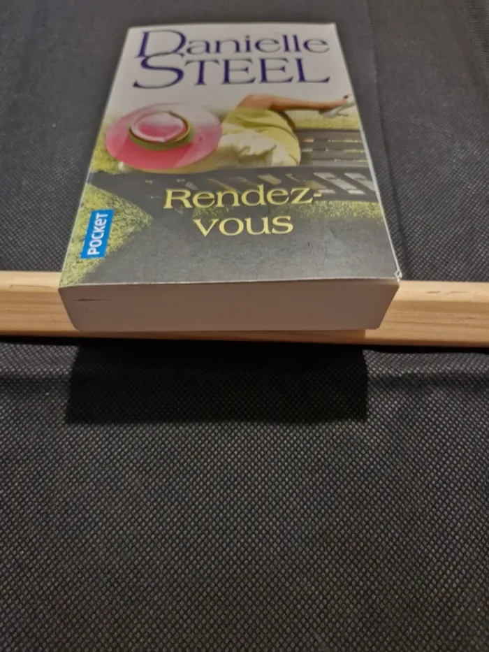 Rendez-vous - Danielle Steel - photo numéro 2