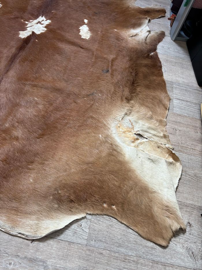 Tapis de vache - photo numéro 4