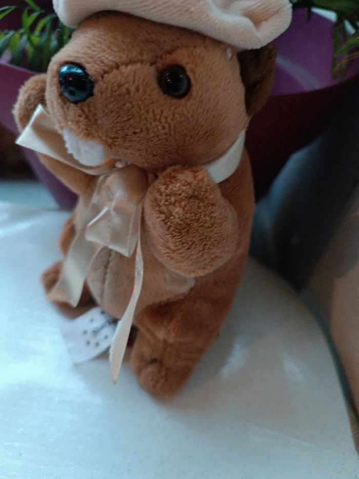 Startoy peluche doudou plush nounours Teddy marmotte Berret chapeau suisse edelweiss fleur flower - photo numéro 3
