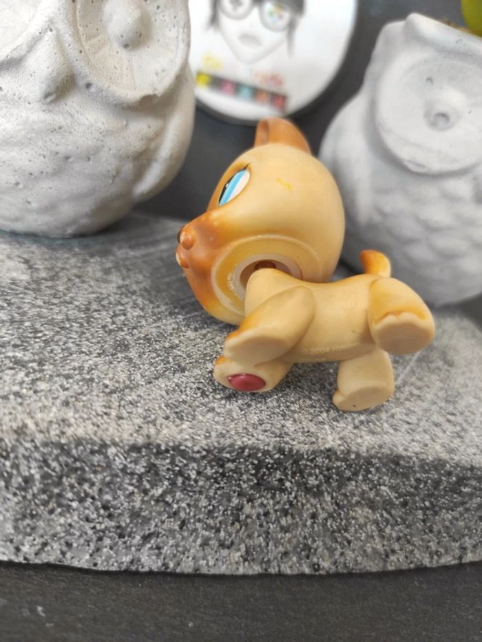 Little Petshop LPS chien berger allemand german shepherd 212 #geektradelpschien - photo numéro 6