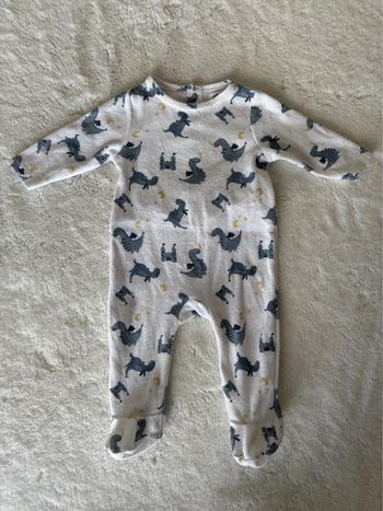 Pyjama dinosaures