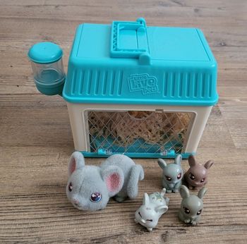 Little live pets