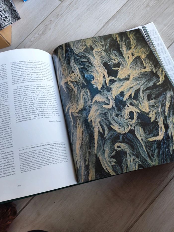 Livre Yann Arthus Bertrand - photo numéro 3