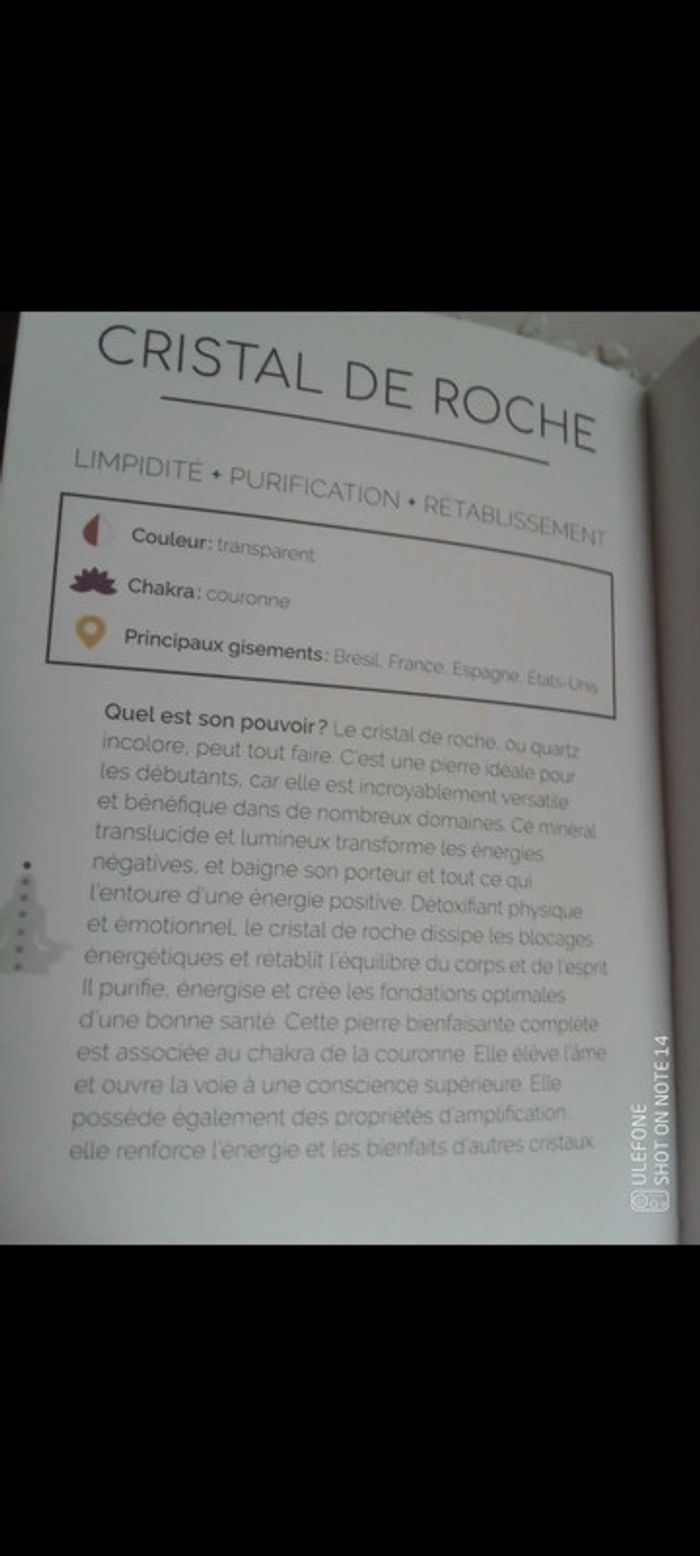 Collier pierre de cristal de roche naturelle avec serpent doré - photo numéro 2