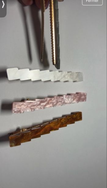 Lot 4 pinces à cheveux