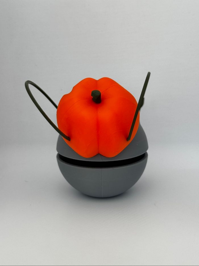 Pokeball bulbizard Halloween - photo numéro 3