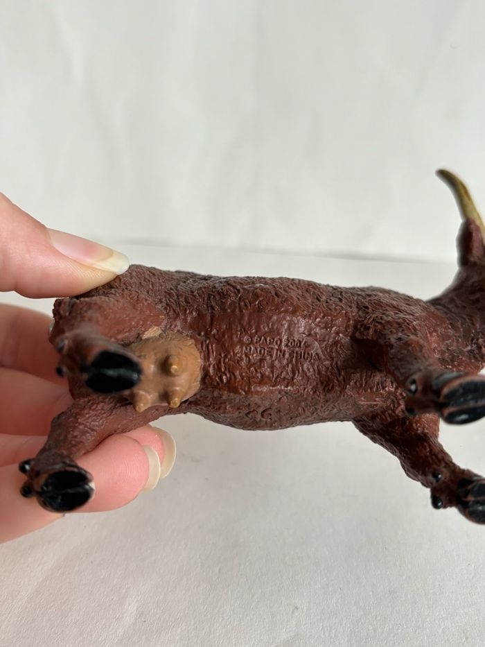 Vache papo - photo numéro 3