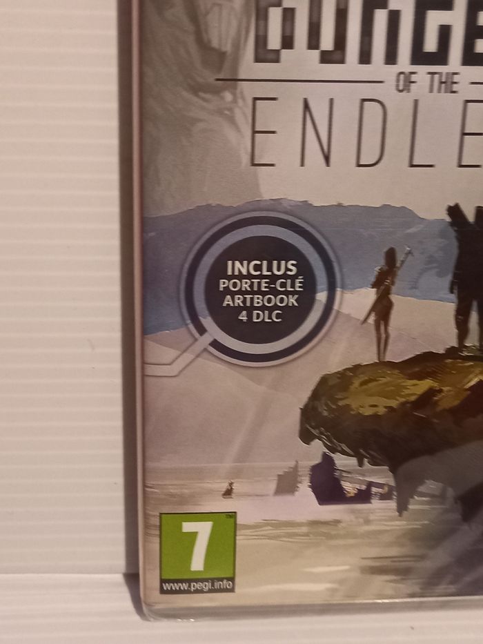 Switch dungeon endless - photo numéro 2