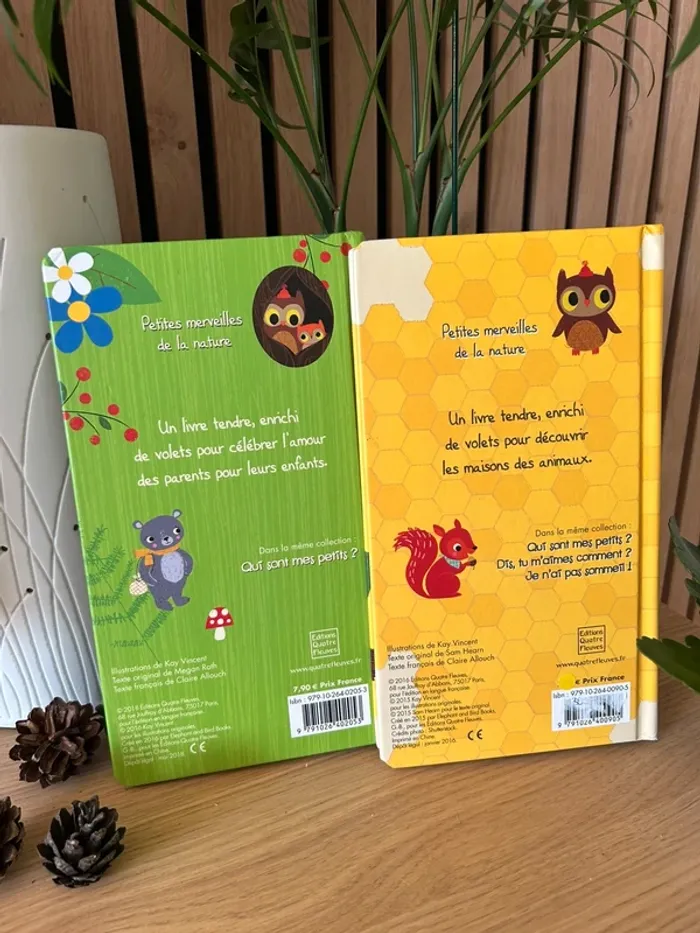 Lot de 2 livres à flops - photo numéro 2