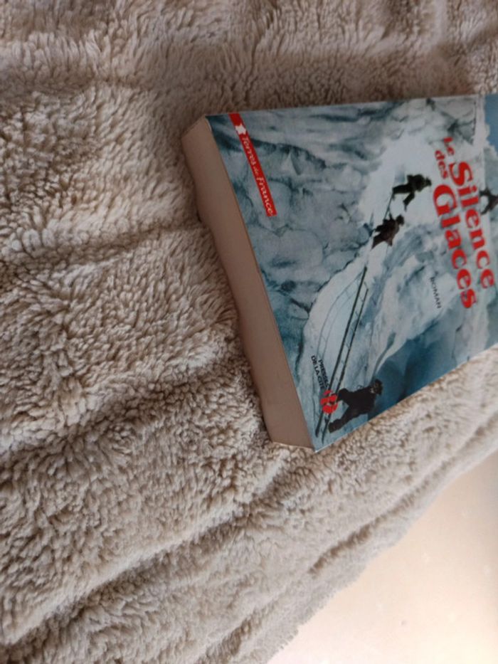Le silence des glaces  de Patrick Breuzé - photo numéro 5