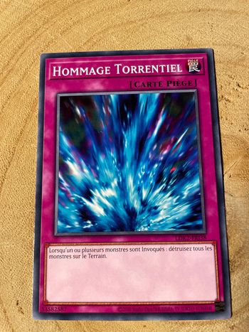 Carte Yu-Gi-Oh! : Hommage torrentiel - LDK2-FRJ38