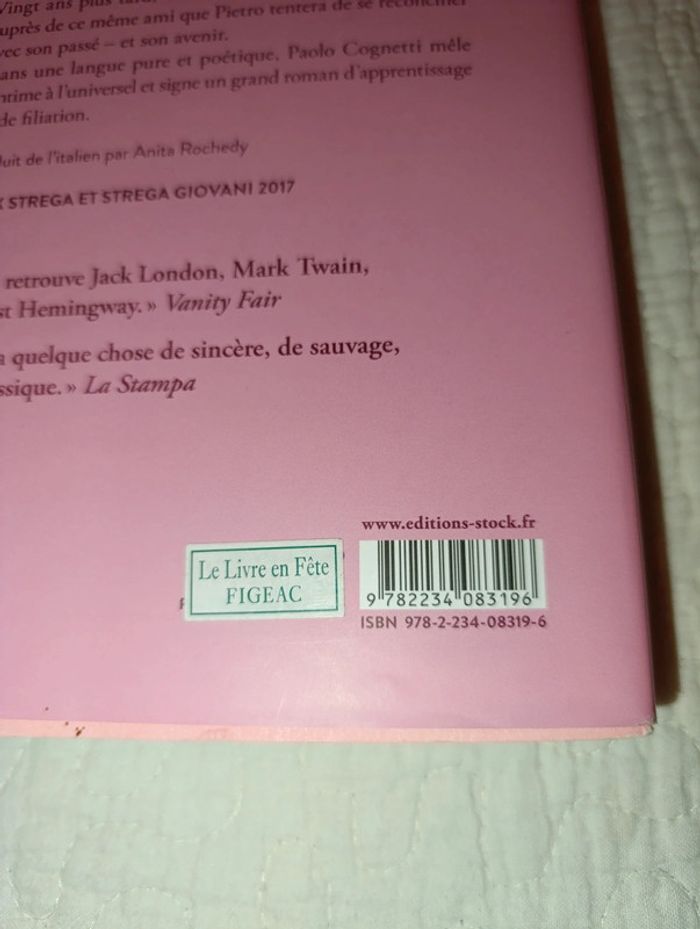 Les huits montagnes de Paolo Cognetti - photo numéro 3