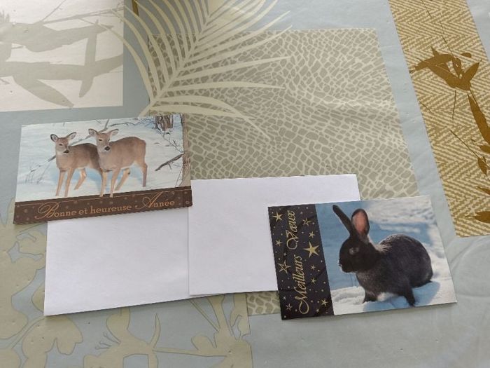 Lot de 4 cartes de vœux et enveloppes