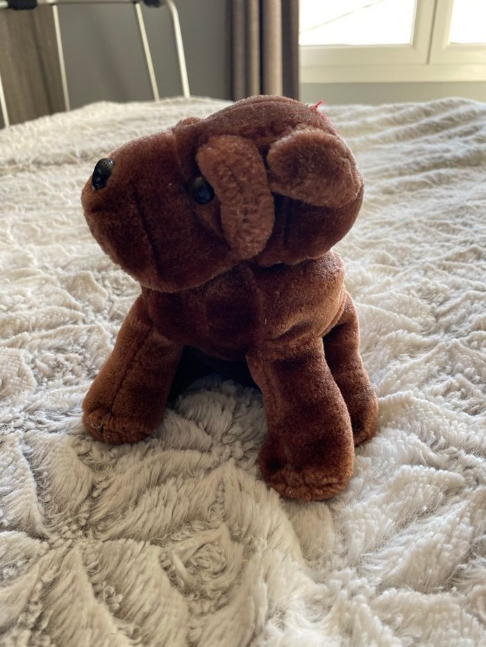 Peluche sharpey - photo numéro 4