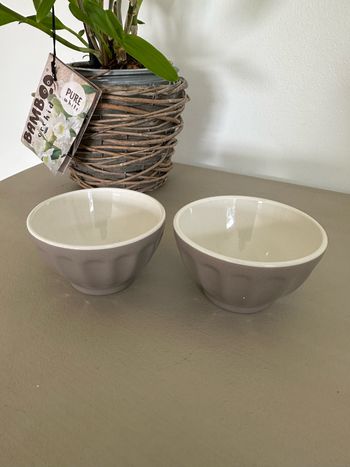 Magnifique lot de 2 petits bols