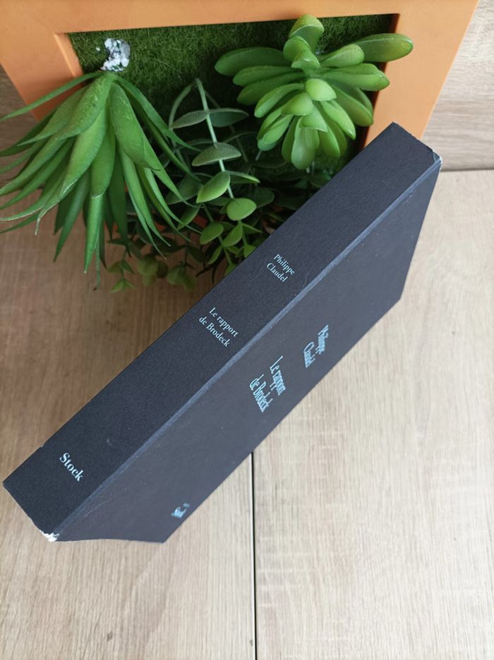 Livre le rapport de brodeck - photo numéro 4