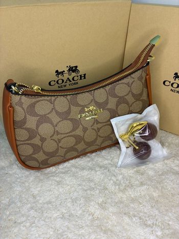 Petite Pochette Coach Signature Canvas