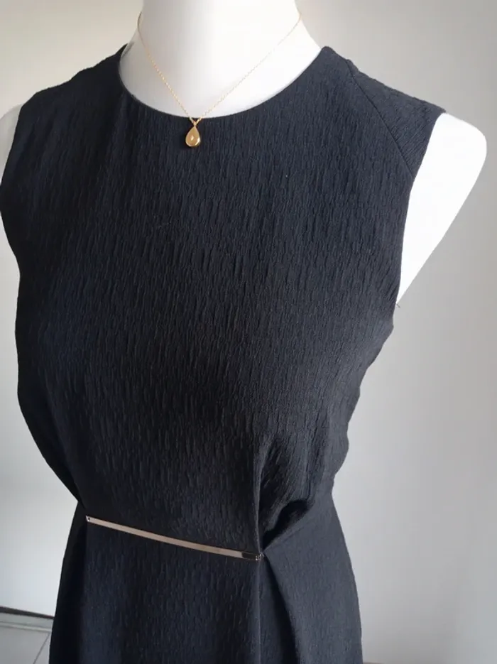 Robe patineuse noire habillée avec doré devant en guise de ceinture T.S Zara - photo numéro 3