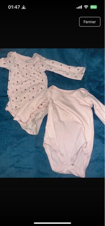 Lot bodies 