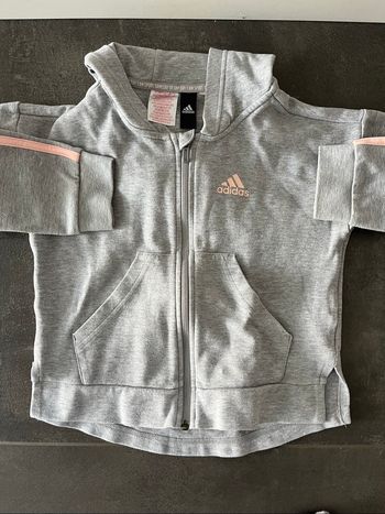 Veste grise Adidas 7 ans