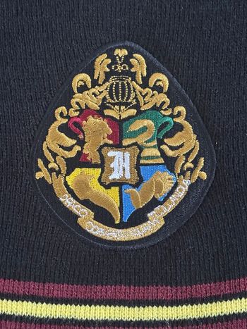 Écharpe Harry Potter 