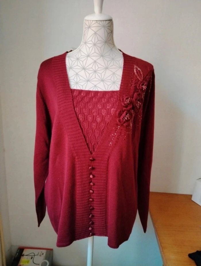 Jolie pull neuf (carton 1)