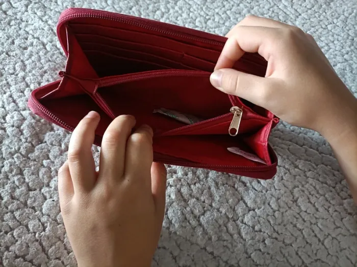 Portefeuille - photo numéro 4