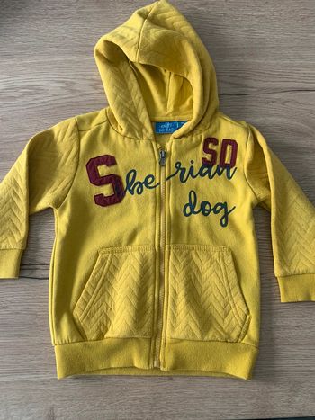 Gilet à capuche garçon