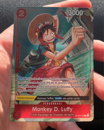 Monkey D.Luffy promo OnePiece 1er anniversaire 