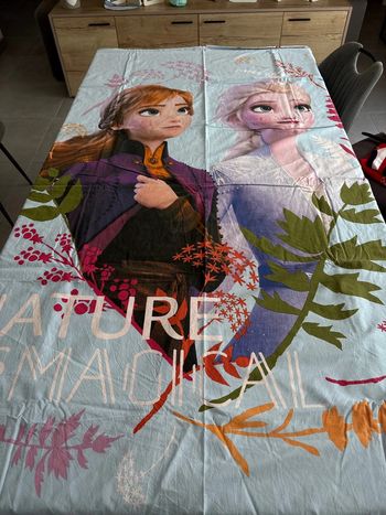 Housse de couette Reine des neiges 2