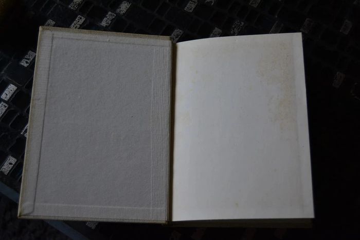 Regarder la peinture introduction à l'art contemporain - photo numéro 2