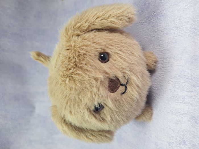 Peluche Jellycat chiot retired Caboodle Puppy CAB3PP - photo numéro 6