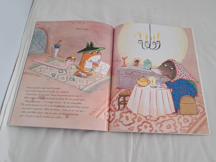 Livre Billy cherche un trésor - photo numéro 4