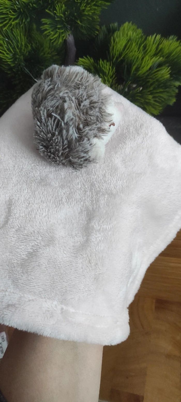 Doudou plat hérisson rose velours carré 29 cm gris Yeux Fermés Dormeur Sommeil - photo numéro 3