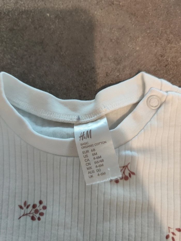 Tee shirt - photo numéro 2