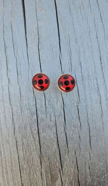Bijou Miraculous de la coccinelle – univers Ladybug (livre)