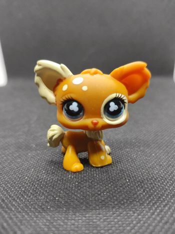 Littlest Petshop dog chien papillon 528 731 chihuahua hasbro #geektradelpschien